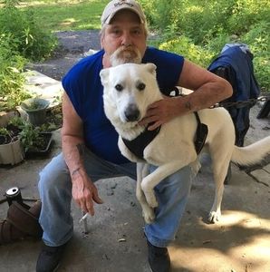 Meet your Posher, Wayne